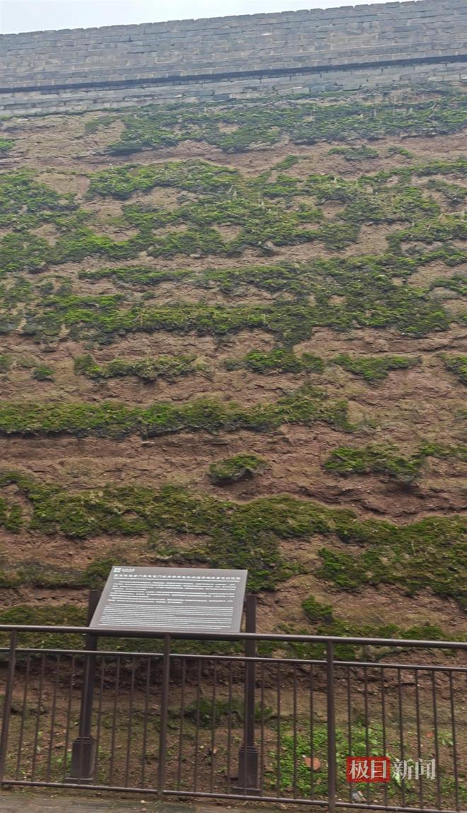 菇大雁塔受潮城墙布满青苔气象局解释成因开元棋牌西安连续一个多月降雨遍地长蘑(图5) 菇大雁塔受潮城墙布满青苔气象局解释成因开元棋牌西安连续一个多月降雨遍地长蘑(图5)