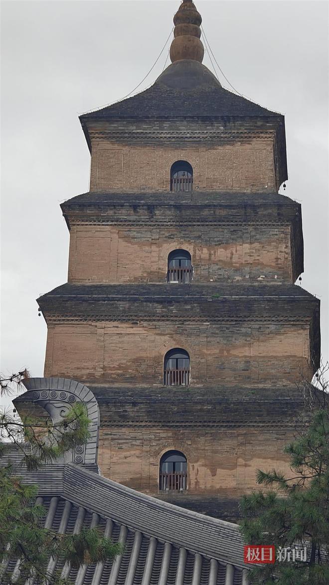 菇大雁塔受潮城墙布满青苔气象局解释成因开元棋牌西安连续一个多月降雨遍地长蘑(图2) 菇大雁塔受潮城墙布满青苔气象局解释成因开元棋牌西安连续一个多月降雨遍地长蘑(图2)